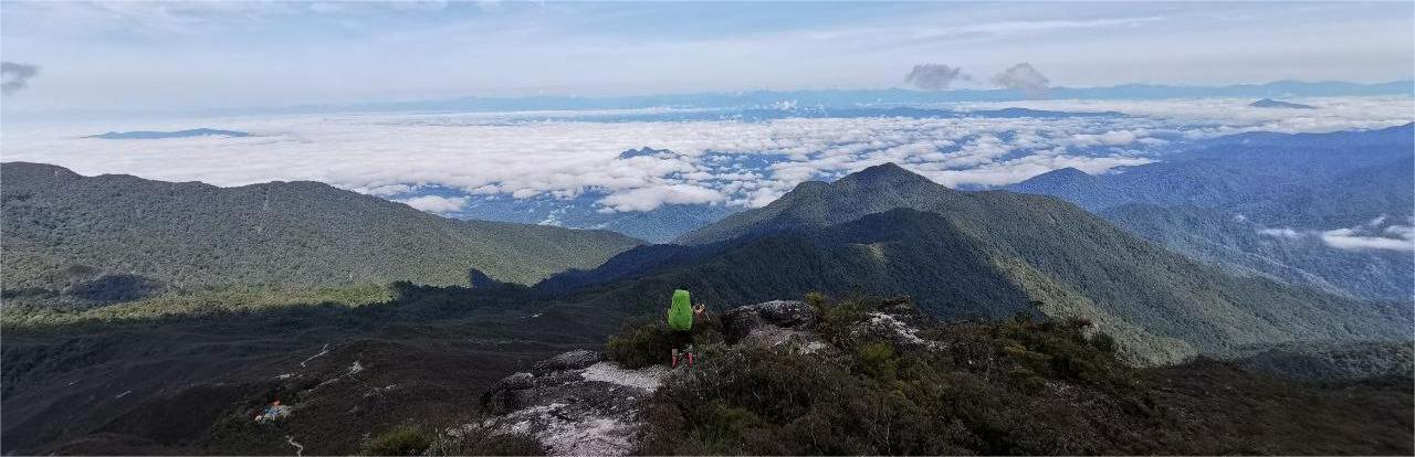 C6019 GUNUNG TAHAN via MERAPOH (M2M) 5D4N TREKKING